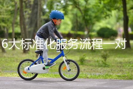 6大標準化服務流程一對一貼心服務，全程中文陪同