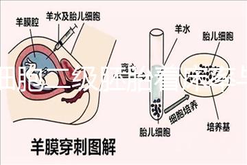 6細(xì)胞二級(jí)胚胎著床率與養(yǎng)囊成功率解讀，拿不準(zhǔn)移植與否戳
