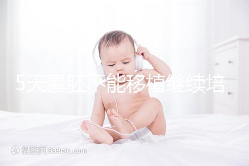 5天囊胚不能移植繼續培養？美國試管專家為您解析！