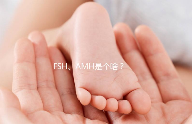 FSH、AMH是個啥？卵巢功能好不好看這些指標！