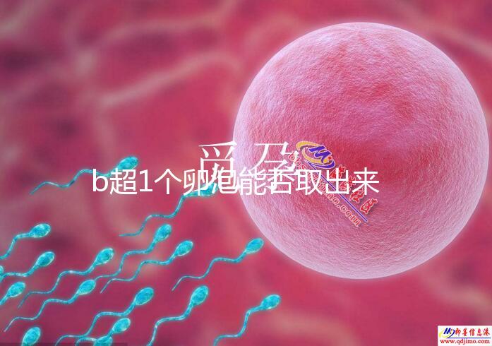 b超1個卵泡能否取出來分人，質量好或有一定受孕幾率