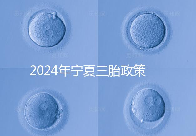 2024年寧夏三胎政策最新規定來襲，附西夏區實施時間