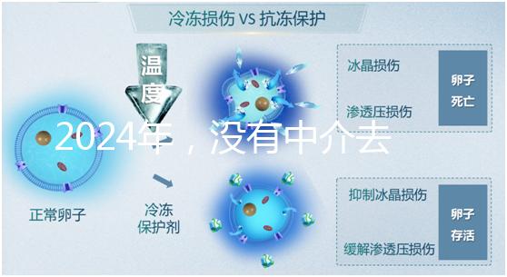 2024年,沒(méi)有中介去泰國(guó)做試管嬰兒?他們有必要這么說(shuō)嗎?...