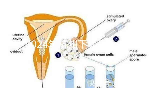 2024年杭州下城區小學生入學條件清單，資料不準備真的上不去