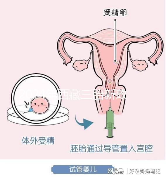 2024年西藏三胎新政策出臺(tái)，拉薩、日喀則產(chǎn)假戳多久？
